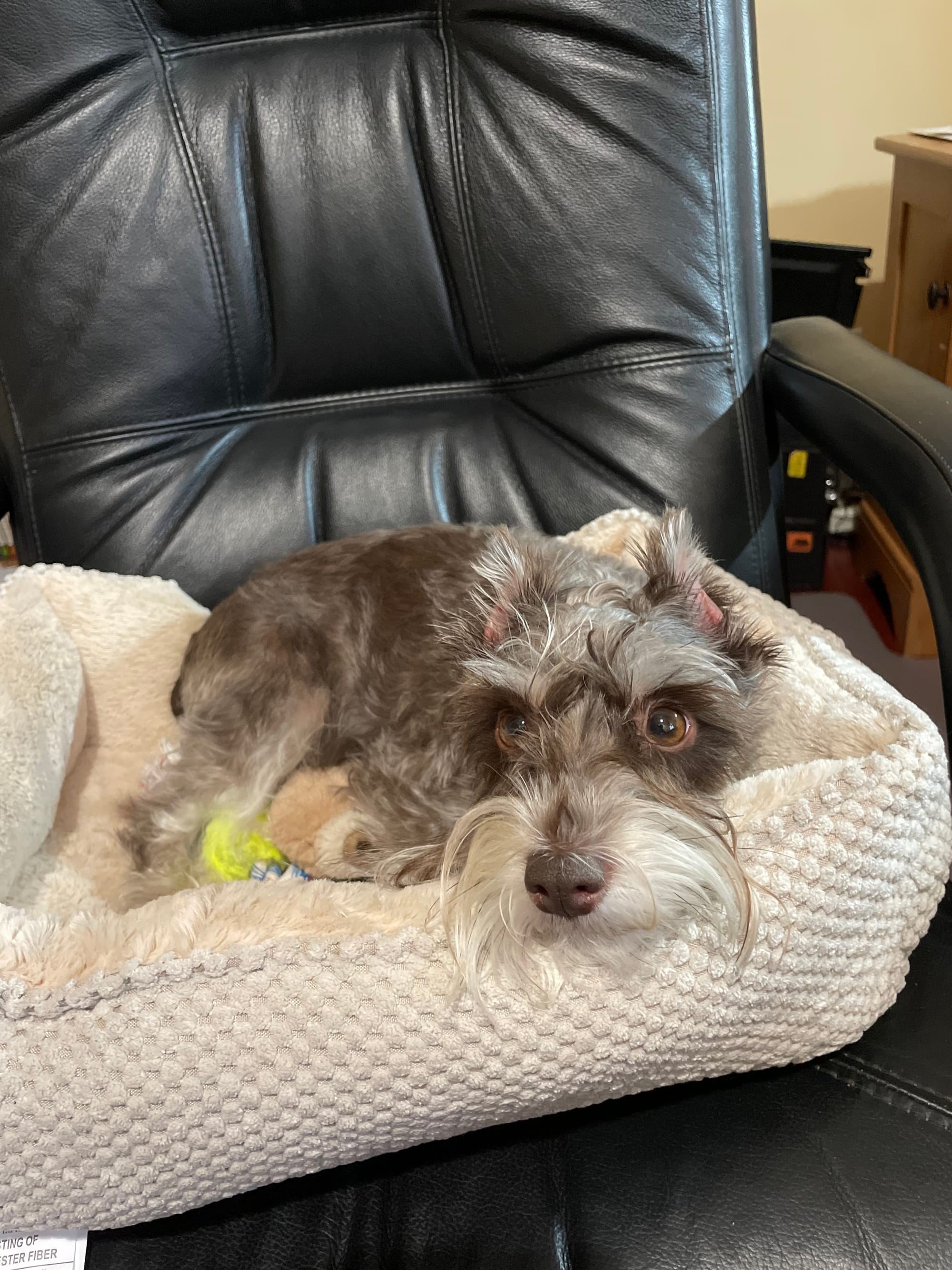 Driven Eats Healthy Streets