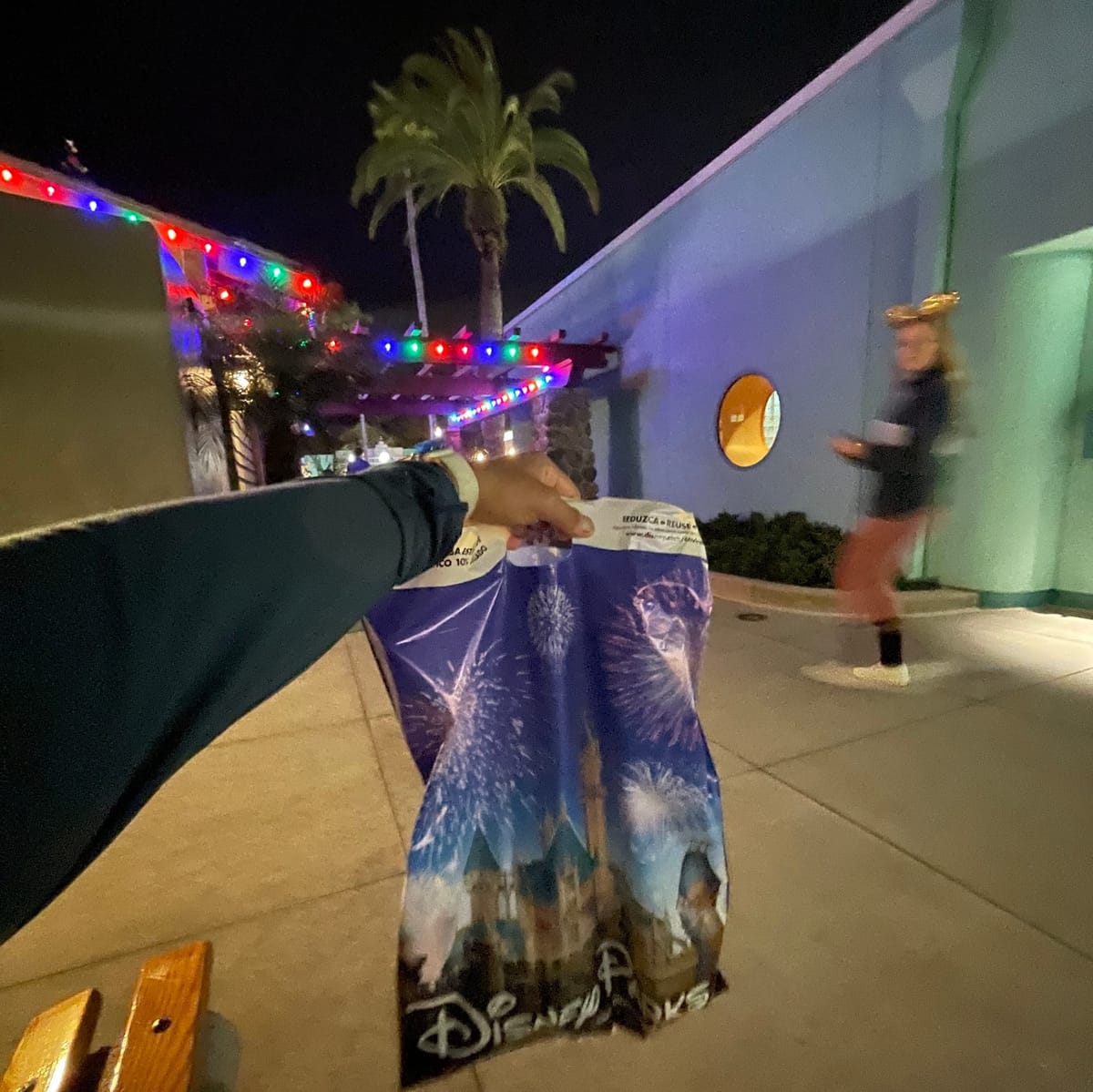 Disney Adventures and Reviews